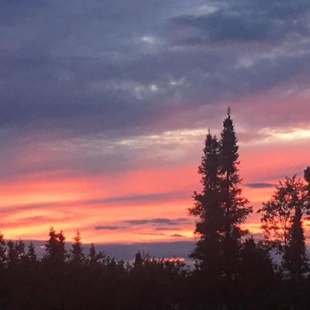 Tolsona Lake Lodge Glennallen Dış mekan fotoğraf