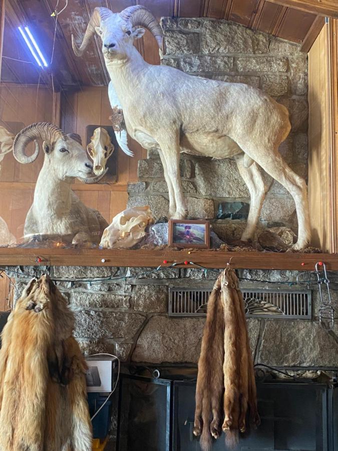 Tolsona Lake Lodge Glennallen Dış mekan fotoğraf